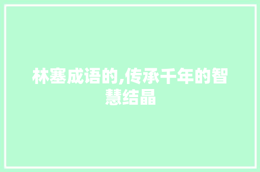 林塞成语的,传承千年的智慧结晶 职场应用