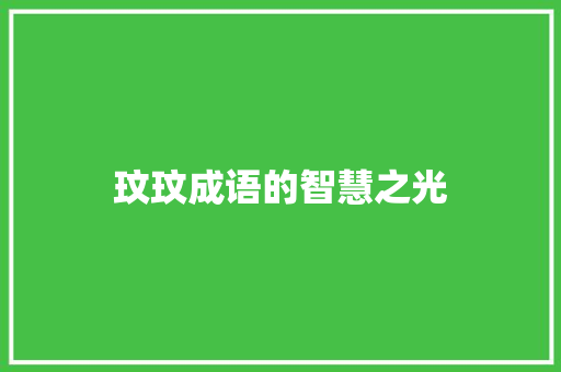 玟玟成语的智慧之光