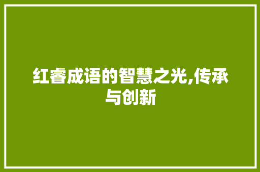 红睿成语的智慧之光,传承与创新