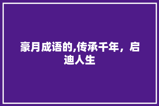 豪月成语的,传承千年，启迪人生
