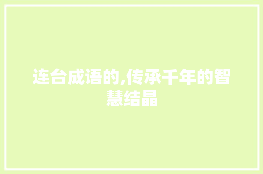 连台成语的,传承千年的智慧结晶 职场应用
