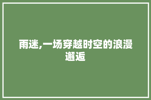 雨迷,一场穿越时空的浪漫邂逅 职场应用