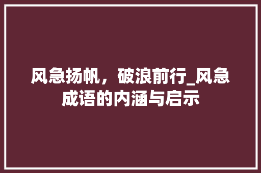 风急扬帆，破浪前行_风急成语的内涵与启示 商业计划书范文