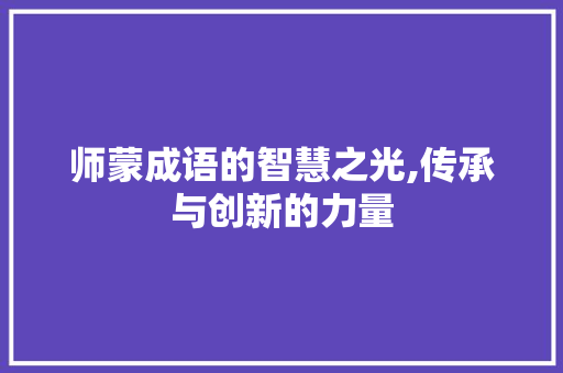 师蒙成语的智慧之光,传承与创新的力量