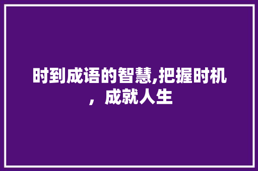 时到成语的智慧,把握时机，成就人生