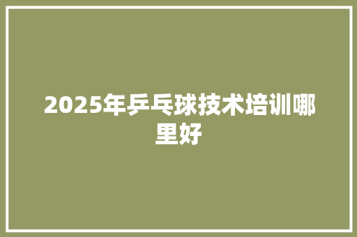 2025年乒乓球技术培训哪里好