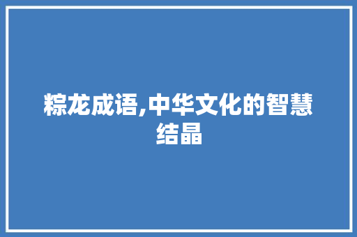 粽龙成语,中华文化的智慧结晶 范文之家
