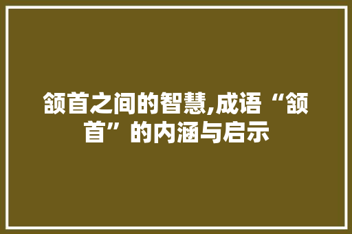 颔首之间的智慧,成语“颔首”的内涵与启示 职场应用