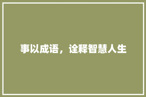 事以成语，诠释智慧人生 商业计划书范文