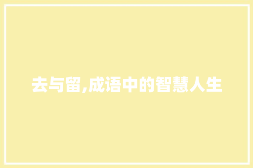 去与留,成语中的智慧人生