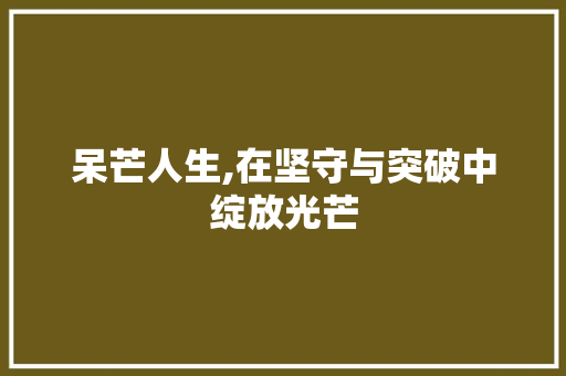呆芒人生,在坚守与突破中绽放光芒