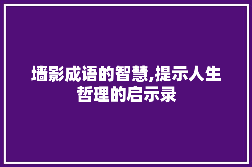 墙影成语的智慧,提示人生哲理的启示录 范文之家