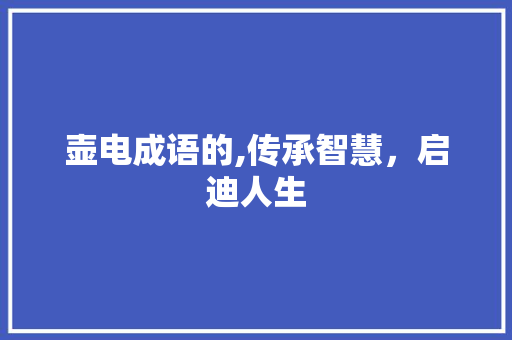 壶电成语的,传承智慧，启迪人生 范文精选网