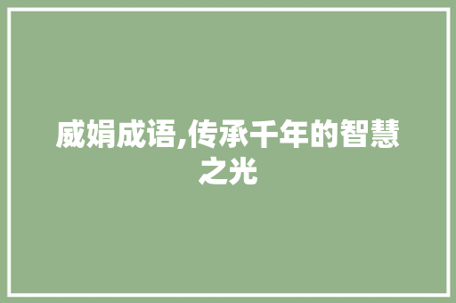威娟成语,传承千年的智慧之光