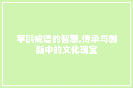 宇鹏成语的智慧,传承与创新中的文化瑰宝 范文资源