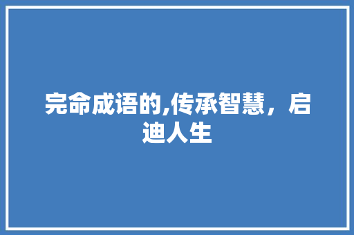 完命成语的,传承智慧，启迪人生 商业计划书范文