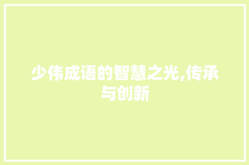 少伟成语的智慧之光,传承与创新