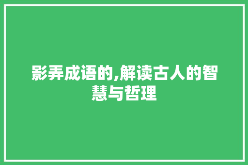 影弄成语的,解读古人的智慧与哲理 商业计划书范文