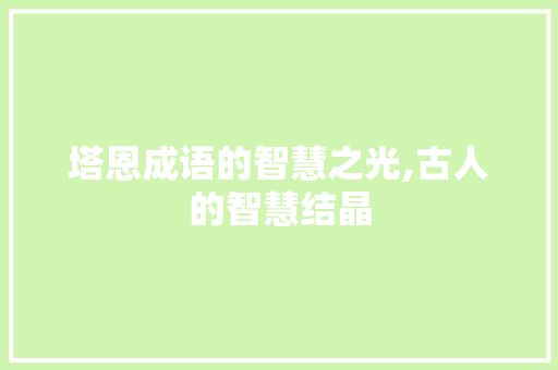 塔恩成语的智慧之光,古人的智慧结晶 范文参考