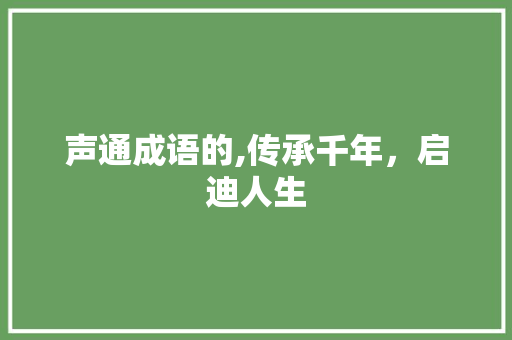 声通成语的,传承千年，启迪人生