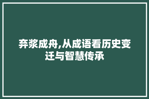 弃浆成舟,从成语看历史变迁与智慧传承 范文资源