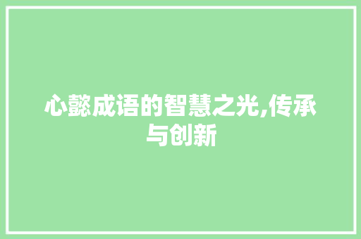 心懿成语的智慧之光,传承与创新
