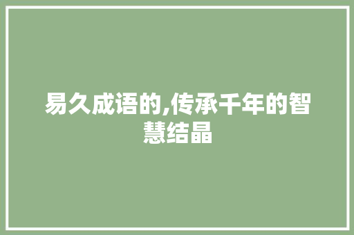 易久成语的,传承千年的智慧结晶 商业计划书范文