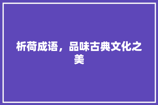 析荷成语，品味古典文化之美
