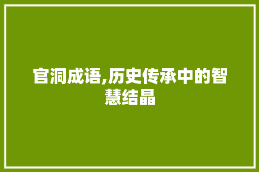 官洞成语,历史传承中的智慧结晶 职场应用