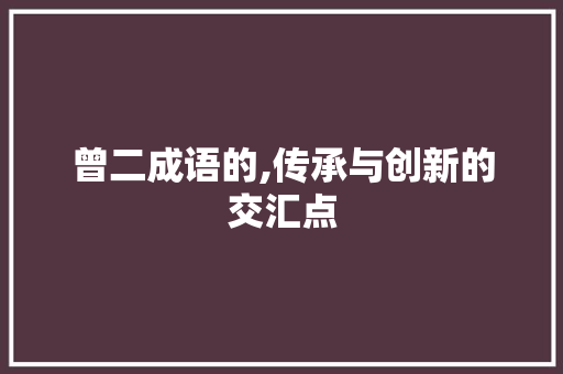 曾二成语的,传承与创新的交汇点