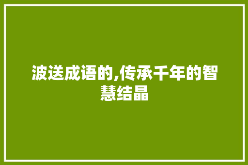 波送成语的,传承千年的智慧结晶