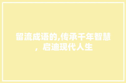 留流成语的,传承千年智慧，启迪现代人生