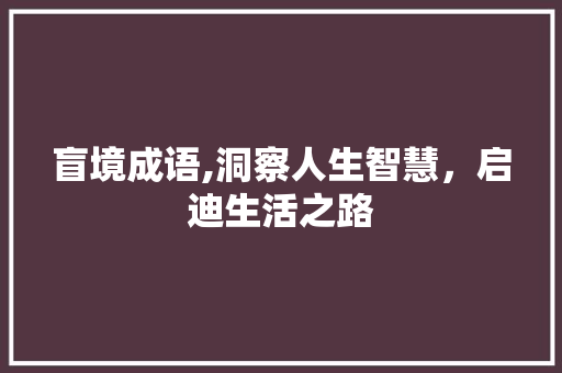 盲境成语,洞察人生智慧，启迪生活之路 范文参考