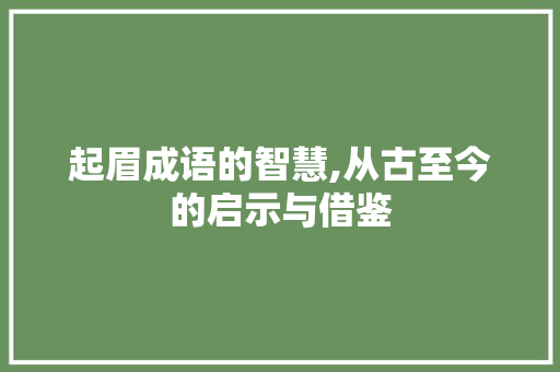 起眉成语的智慧,从古至今的启示与借鉴