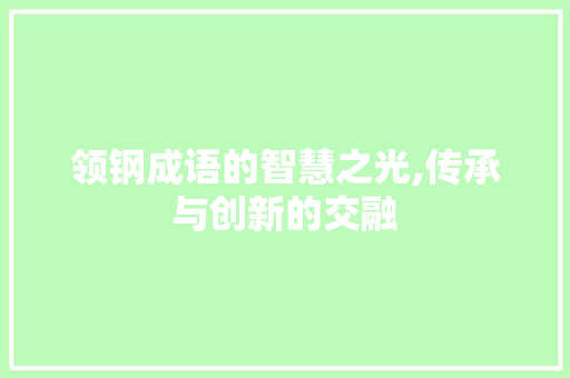 领钢成语的智慧之光,传承与创新的交融 职场应用