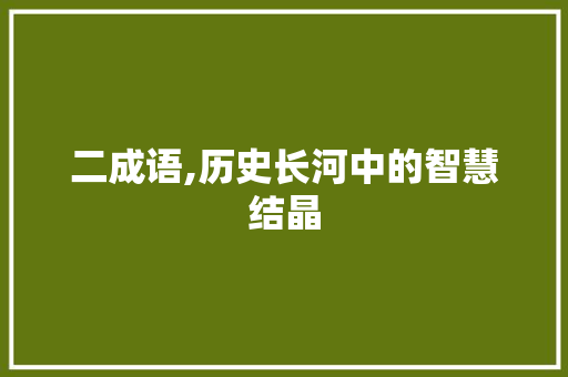 二成语,历史长河中的智慧结晶