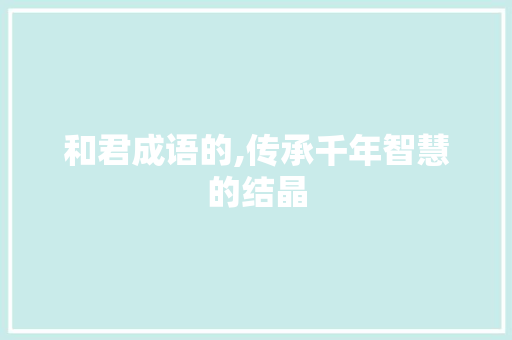 和君成语的,传承千年智慧的结晶