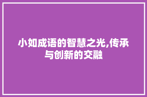 小如成语的智慧之光,传承与创新的交融
