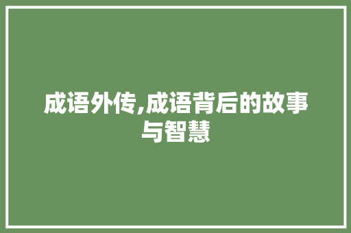成语外传,成语背后的故事与智慧 职场应用