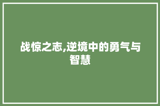 战惊之志,逆境中的勇气与智慧 商业计划书范文