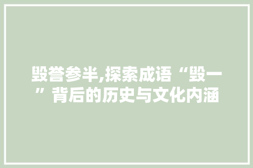 毁誉参半,探索成语“毁一”背后的历史与文化内涵