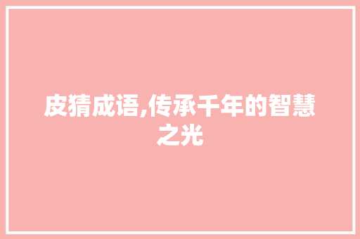 皮猜成语,传承千年的智慧之光
