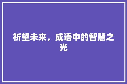 祈望未来，成语中的智慧之光 范文资源