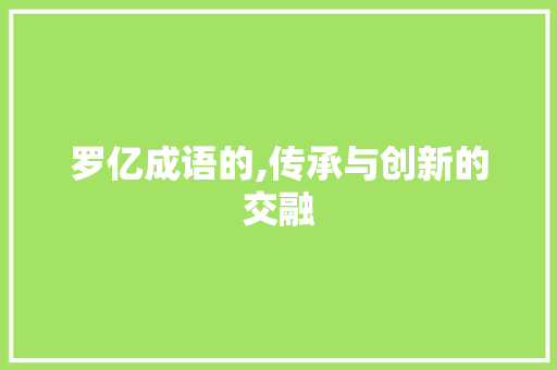 罗亿成语的,传承与创新的交融 商业计划书范文