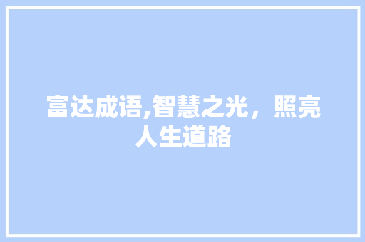 富达成语,智慧之光，照亮人生道路