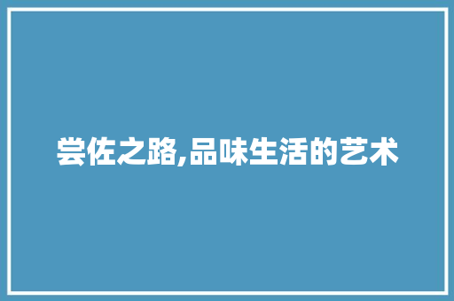 尝佐之路,品味生活的艺术