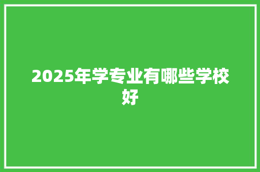 2025年学专业有哪些学校好 范文精选网