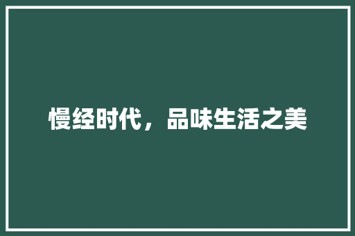 慢经时代，品味生活之美 职场应用