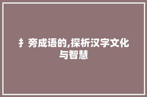 扌旁成语的,探析汉字文化与智慧 范文宝典