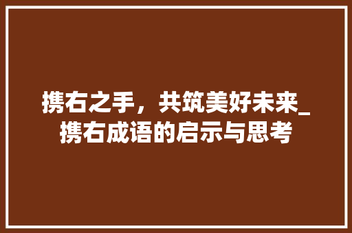携右之手，共筑美好未来_携右成语的启示与思考